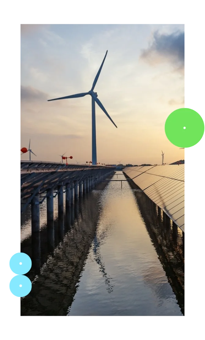 Project illustration for EDF Energy case study